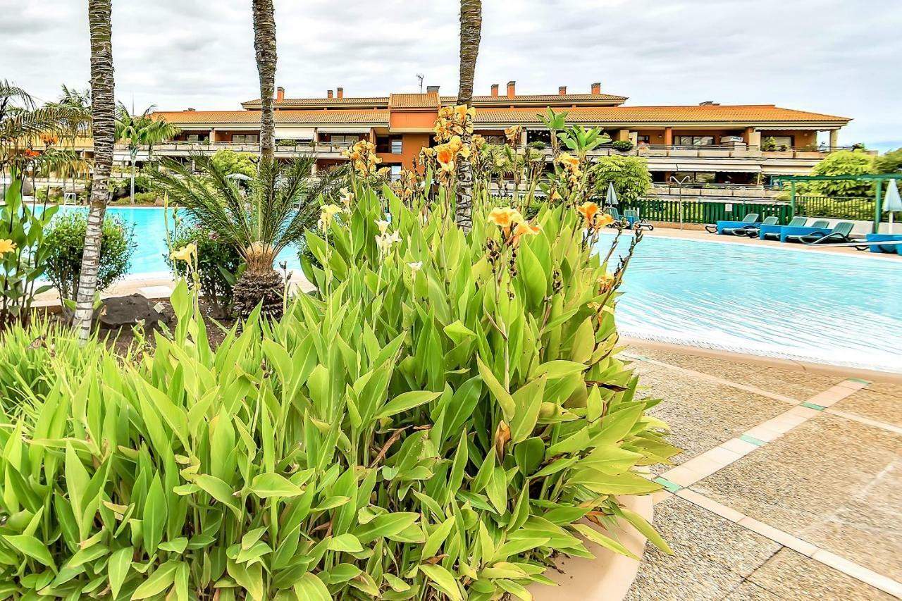 Апартаменты Jardines Del Teide Пуэрто-де-ла-Крус Экстерьер фото